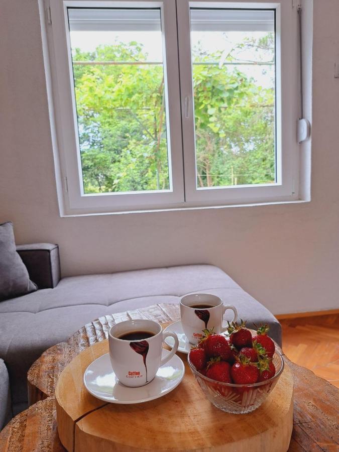 Guest House Green River Ljubuški Buitenkant foto